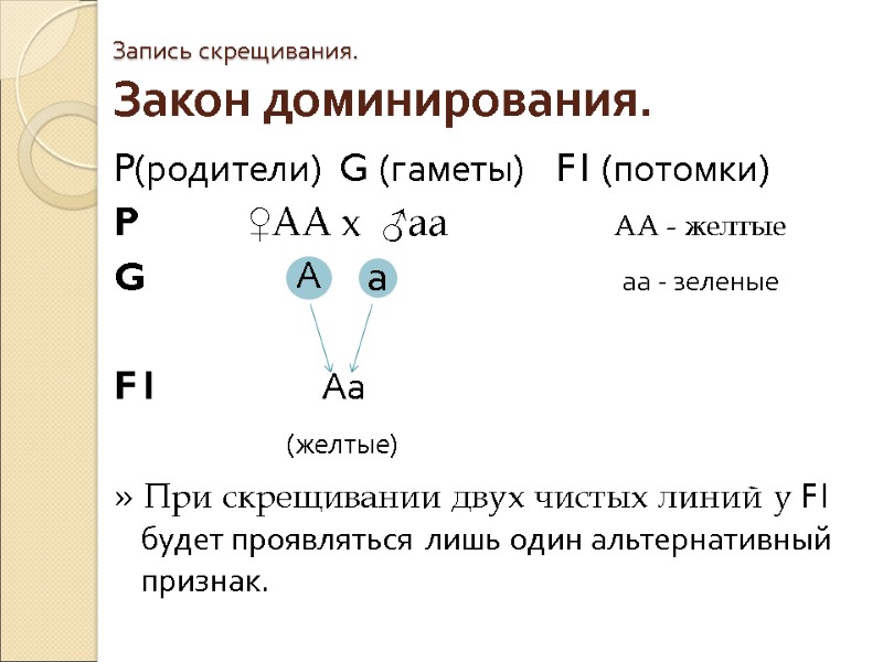 Запись скрещивания.  Закон доминирования. P(родители)  G (гаметы)    F1 (потомки)